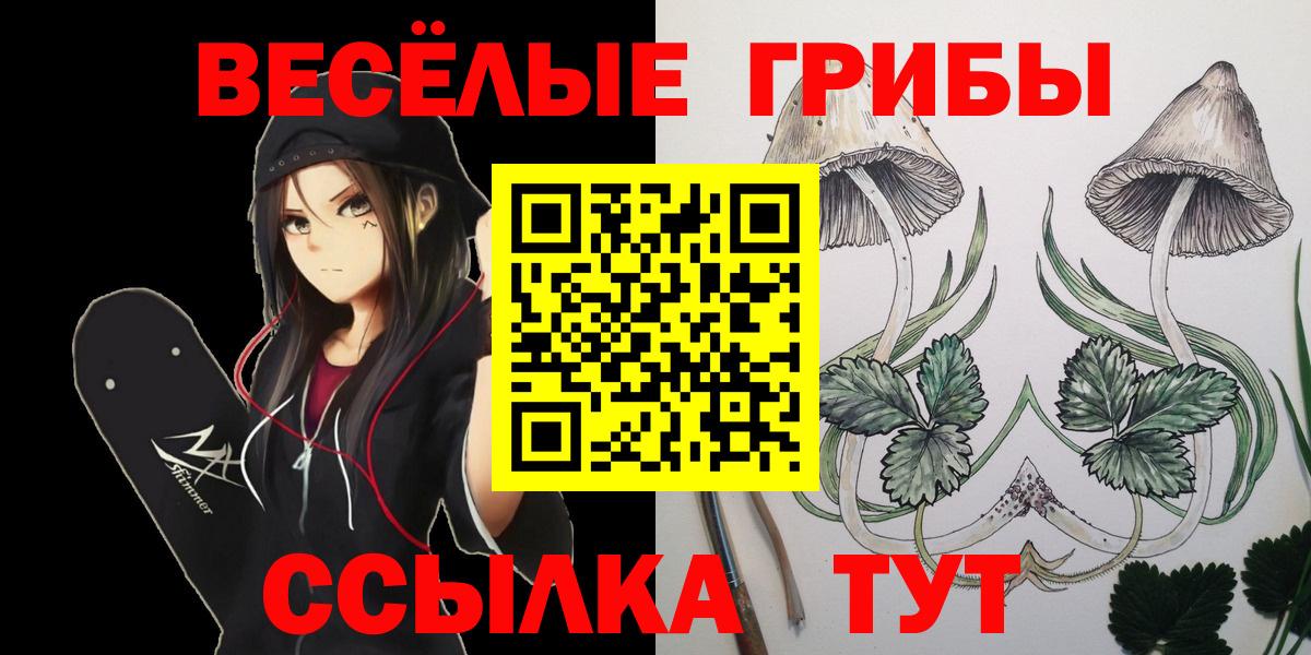 Галлюциногенные грибы GOLDEN TEACHER Северск