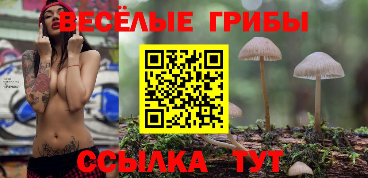как найти закладки  Псилоцибиновые грибы Psilocybe  Вход с VPN  Галлюциногенные грибы Psilocybe  Северск 